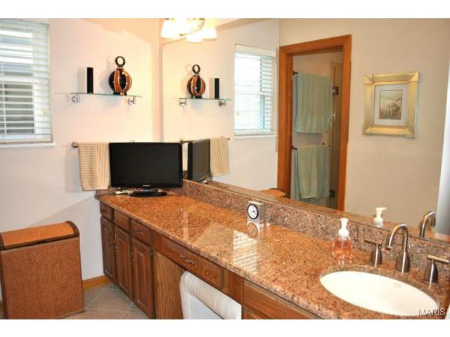 705 Windy Ridge Dr, Ballwin, MO 63021 photo 15