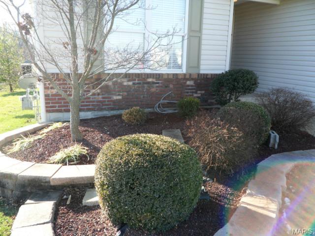 263 Park Ridge Dr, O'fallon, MO 63366 photo 3