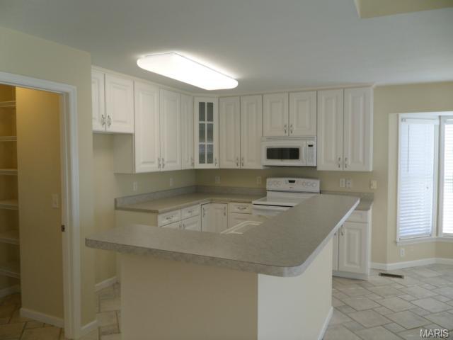 263 Park Ridge Dr, O'fallon, MO 63366 photo 4