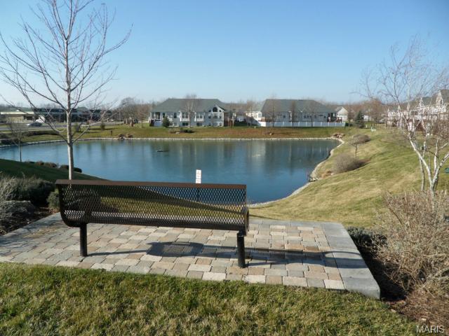 263 Park Ridge Dr, O'fallon, MO 63366 photo 23