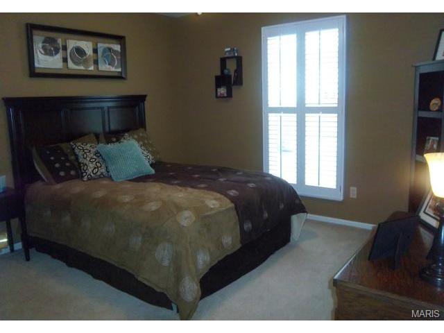6 Pinehurst Forest Ct, O'fallon, MO 63366 photo 31