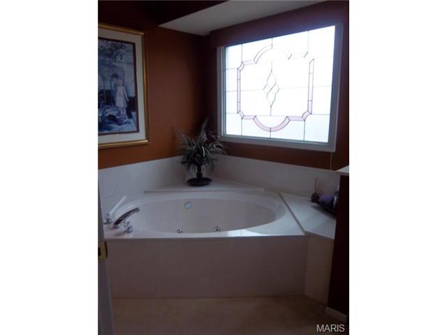 6 Pinehurst Forest Ct, O'fallon, MO 63366 photo 30