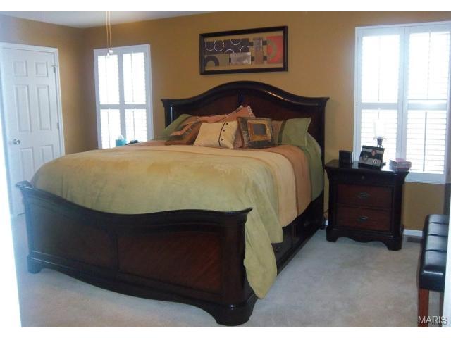 6 Pinehurst Forest Ct, O'fallon, MO 63366 photo 27