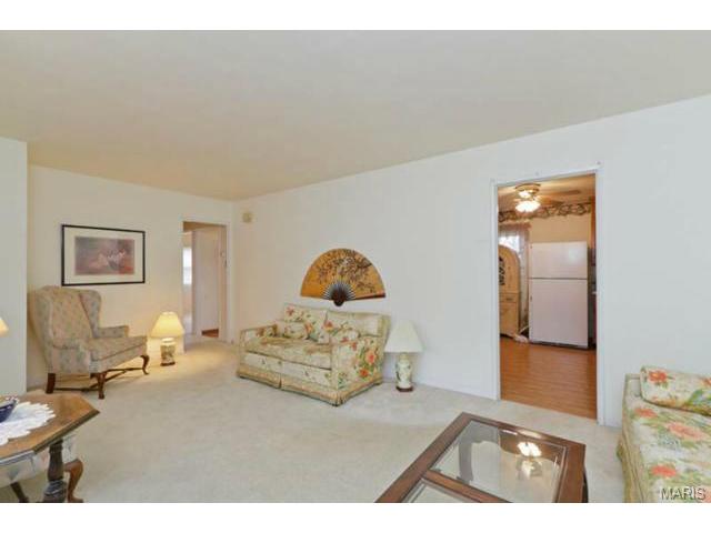 266 E Skyline Dr, Ballwin, MO 63011 photo 9