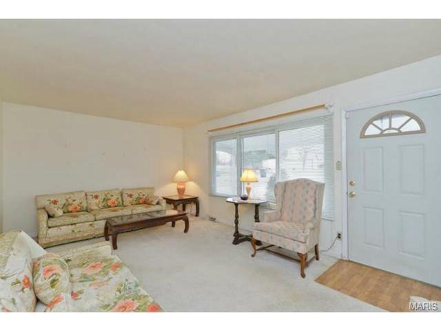 266 E Skyline Dr, Ballwin, MO 63011 photo 2