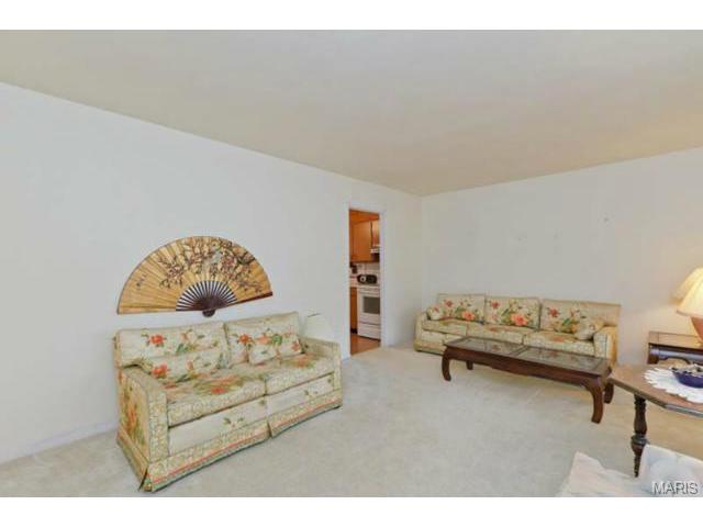 266 E Skyline Dr, Ballwin, MO 63011 photo 7