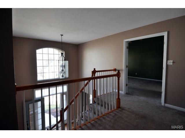 857 Castle Pnes, Ballwin, MO 63021 photo 45