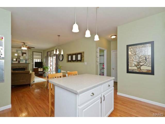 646 Covered Brg, O'fallon, MO 63368 photo 39