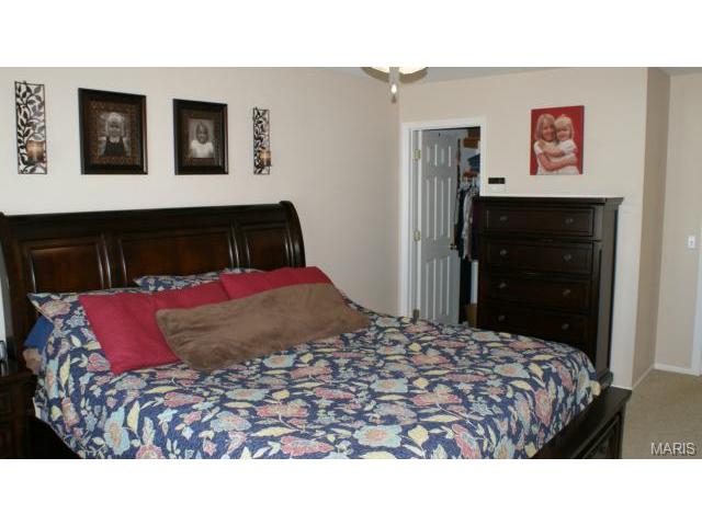 113 Spangle Way, O'fallon, MO 63366 photo 11