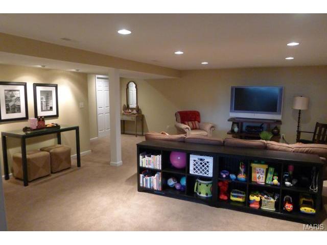 317 Carr Manor Ct, Ballwin, MO 63021 photo 19