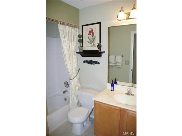 317 Carr Manor Ct, Ballwin, MO 63021 photo 10