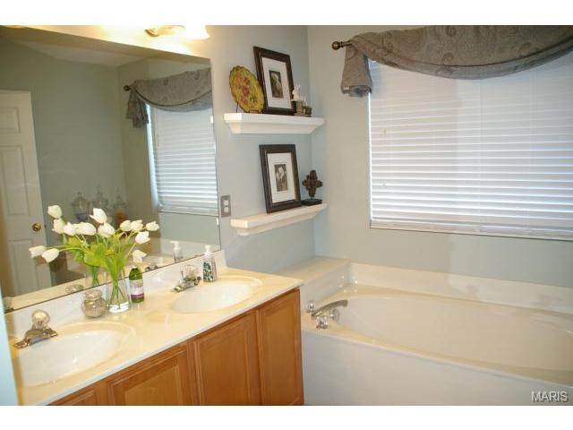 317 Carr Manor Ct, Ballwin, MO 63021 photo 14