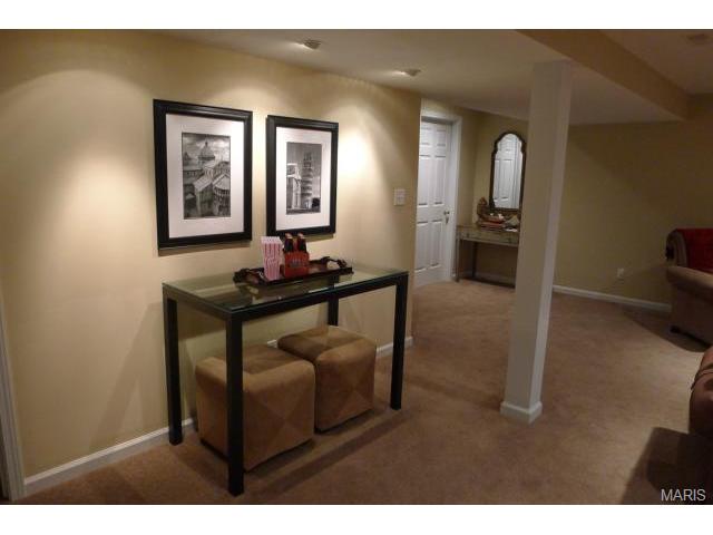 317 Carr Manor Ct, Ballwin, MO 63021 photo 20