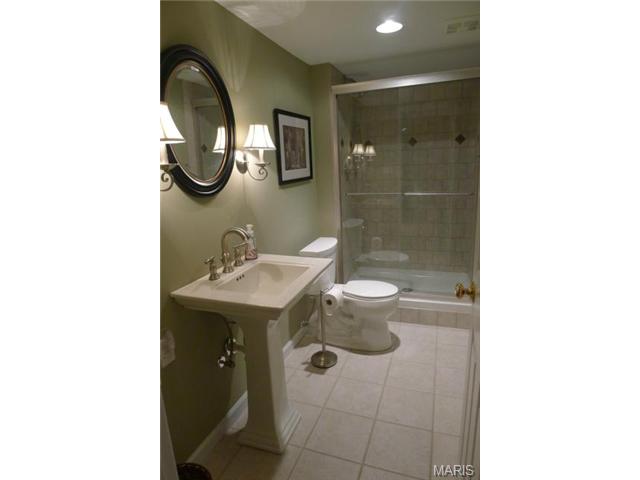 317 Carr Manor Ct, Ballwin, MO 63021 photo 18