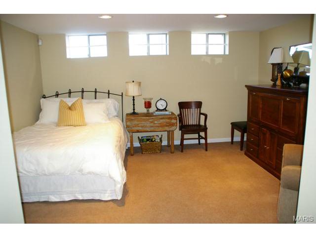 317 Carr Manor Ct, Ballwin, MO 63021 photo 17