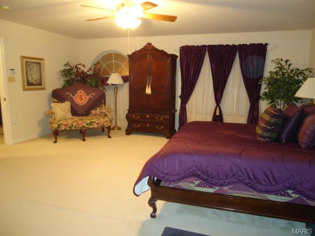 107 Wimbledon Ct, O'fallon, MO 63368 photo 14