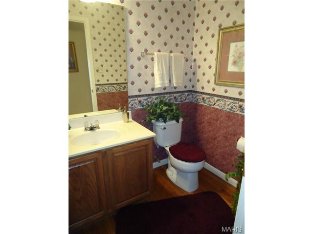 107 Wimbledon Ct, O'fallon, MO 63368 photo 11