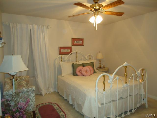 107 Wimbledon Ct, O'fallon, MO 63368 photo 20