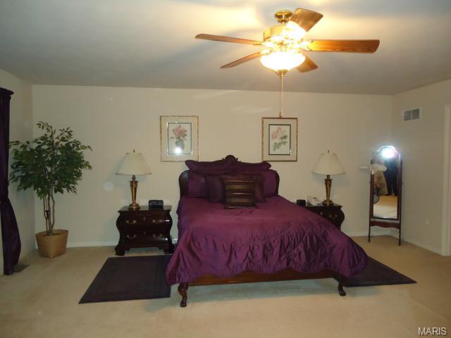 107 Wimbledon Ct, O'fallon, MO 63368 photo 13