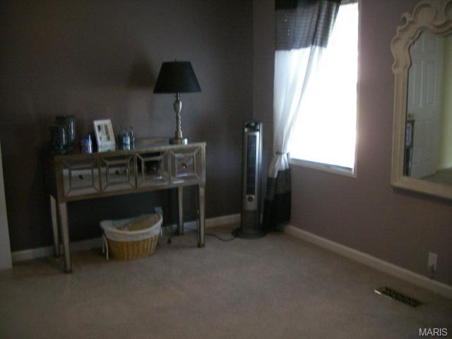 323 Chipley Cir, Ballwin, MO 63011 photo 21