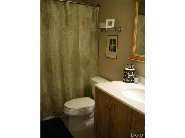 323 Chipley Cir, Ballwin, MO 63011 photo 23