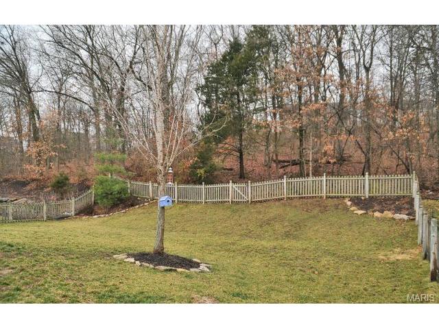 815 Emerald Oaks Ct, Eureka, MO 63025 photo 18