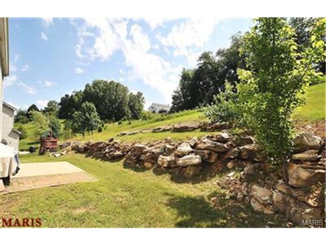 1420 Buckhurst Ct, Ballwin, MO 63021 photo 20