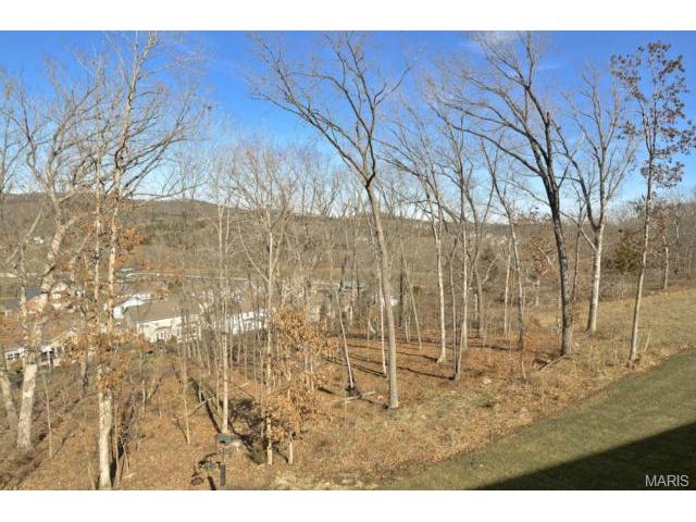 516 Forby Estates Dr, Eureka, MO 63025 photo 27