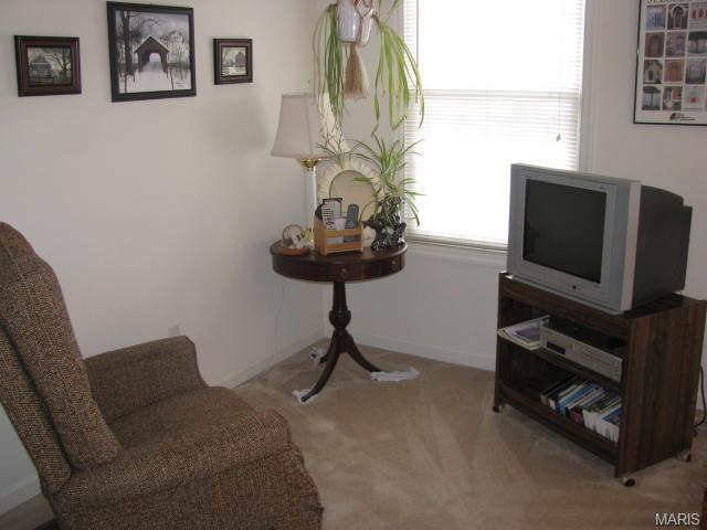 60 E Homefield Point Ct, O'fallon, MO 63366 photo 28