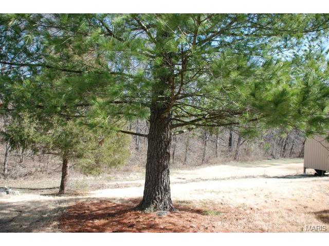 66 White Doe Ct, Eureka, MO 63025 photo 22