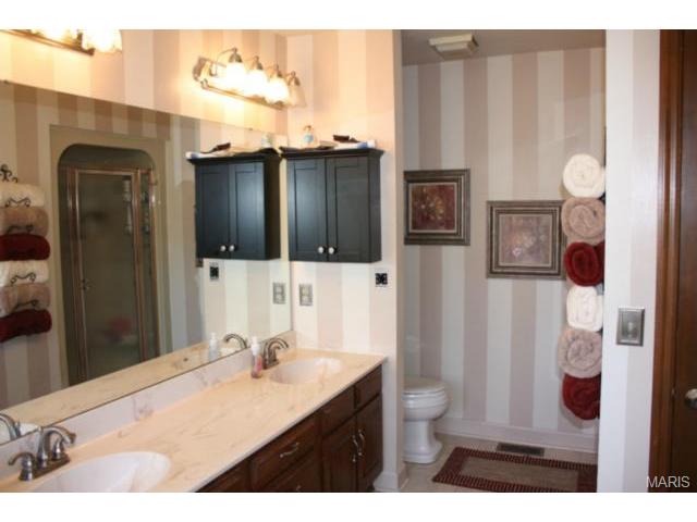 123 Double Eagle Dr, Saint Charles, MO 63303 photo 25