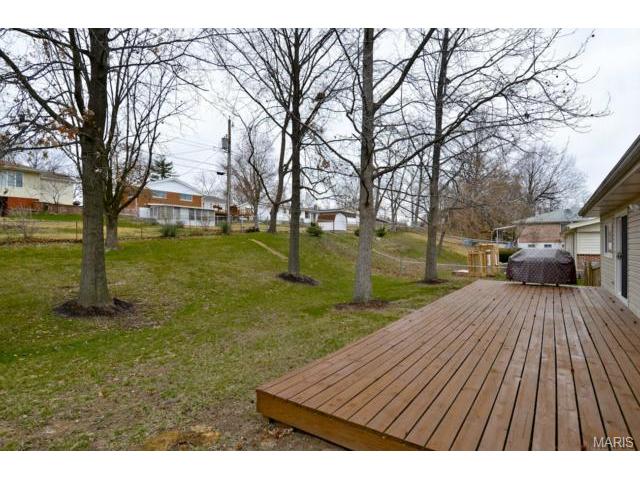 221 Monroe Mill Dr, Ballwin, MO 63011 photo 21