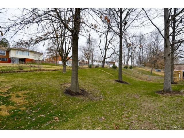 221 Monroe Mill Dr, Ballwin, MO 63011 photo 19