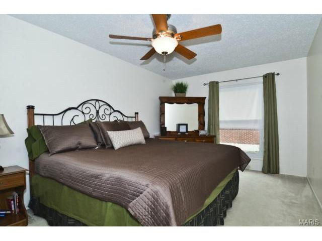 221 Monroe Mill Dr, Ballwin, MO 63011 photo 13