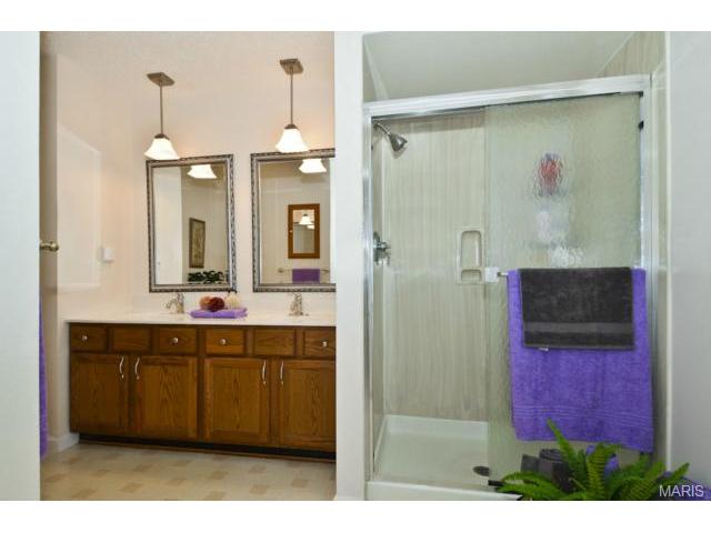 221 Monroe Mill Dr, Ballwin, MO 63011 photo 16