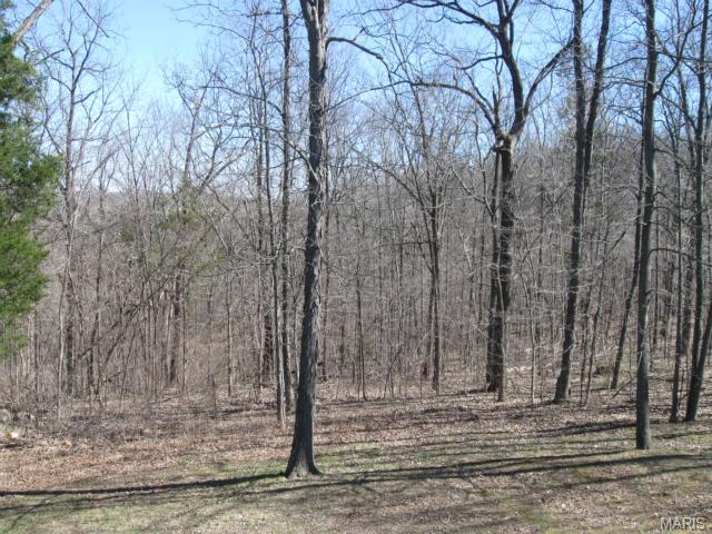 944 Matson Hill Rd, Defiance, MO 63341 photo 4