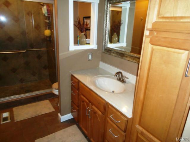 249 Valleyoak Ct, Ballwin, MO 63021 photo 19