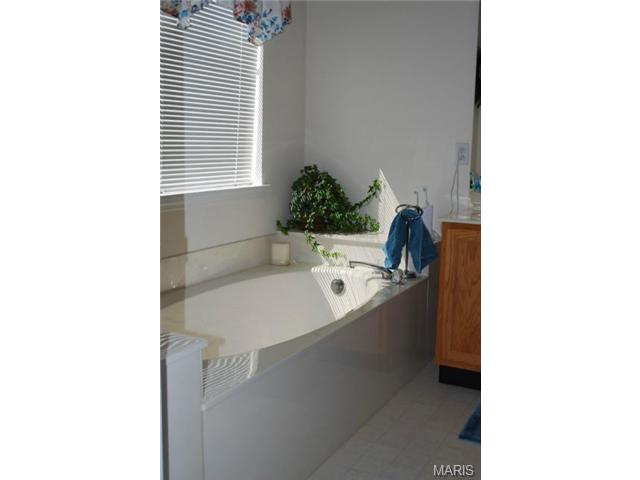 41 Snowmass Ct, O'fallon, MO 63368 photo 12