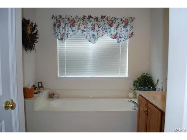 41 Snowmass Ct, O'fallon, MO 63368 photo 13