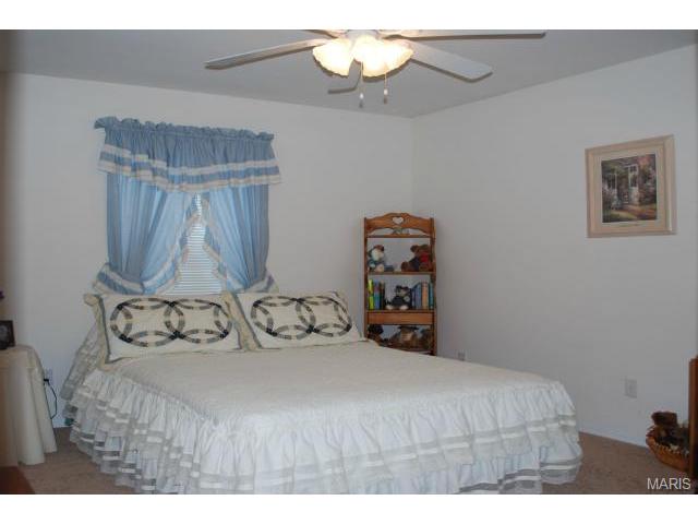 41 Snowmass Ct, O'fallon, MO 63368 photo 15