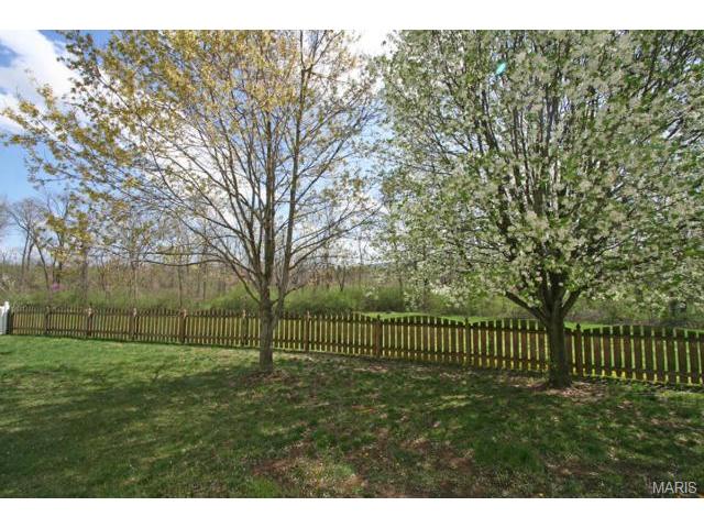 123 Wimbledon Ct, O'fallon, MO 63368 photo 11