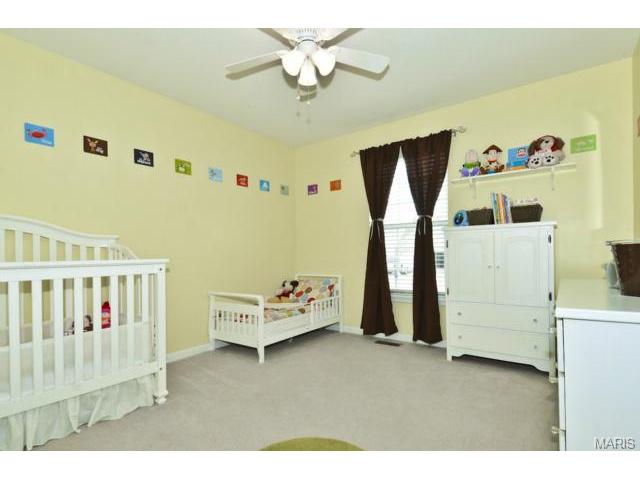 1413 Shelby Pt, O'fallon, MO 63366 photo 19