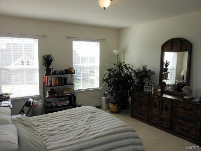 2011 Crimson Meadows Dr, O'fallon, MO 63366 photo 57