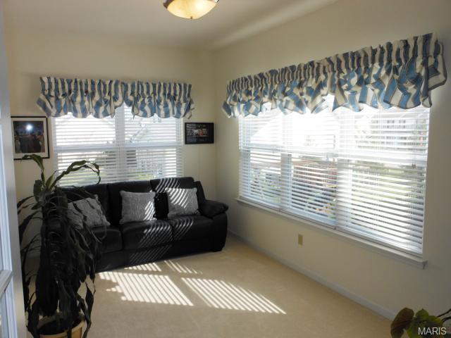 2011 Crimson Meadows Dr, O'fallon, MO 63366 photo 44