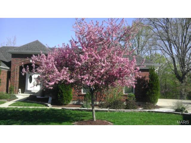 304 Perceval, Weldon Spring, MO 63304 photo 2