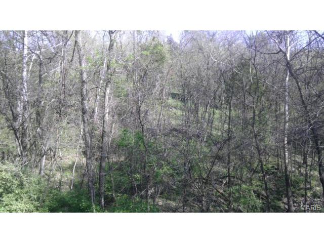304 Perceval, Weldon Spring, MO 63304 photo 14