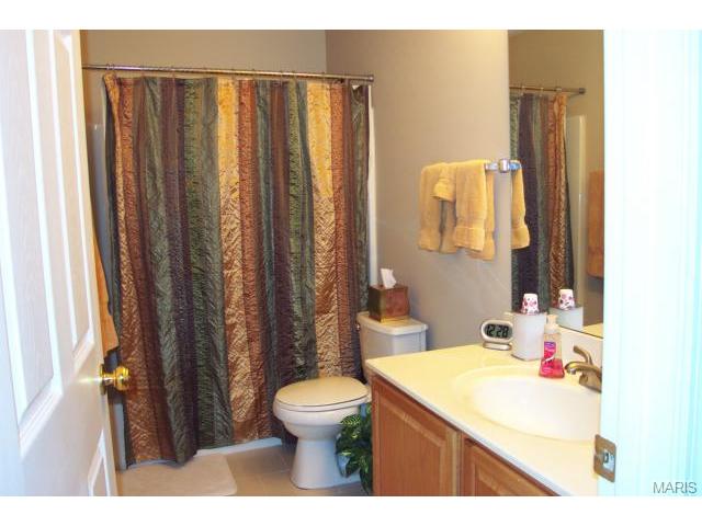242 Windy Acres Ests, Ballwin, MO 63021 photo 19