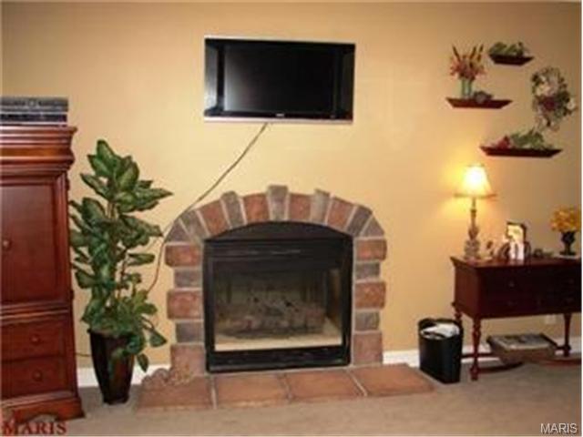 955 Terry, Augusta, MO 63332 photo 17