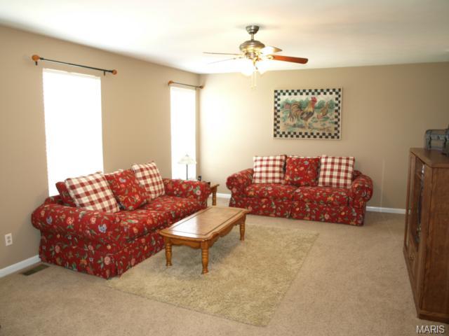 324 Copper Tree Ct, O'fallon, MO 63368 photo 16