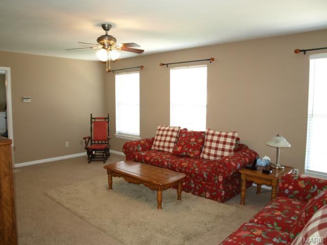 324 Copper Tree Ct, O'fallon, MO 63368 photo 17